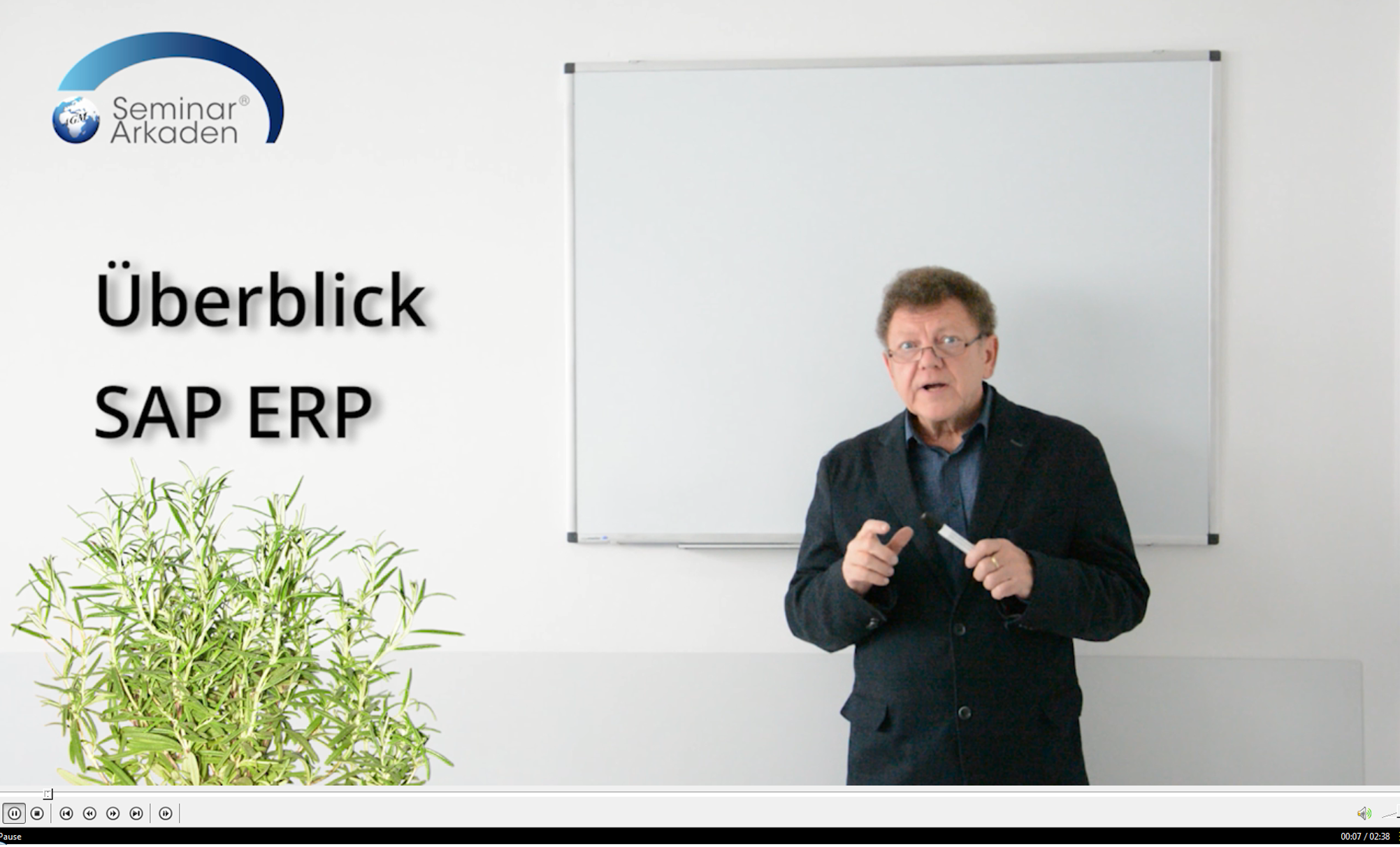 Präsentation SAP ERP Whiteboard