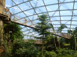 Baumwipfelpfad copyright by thk-design