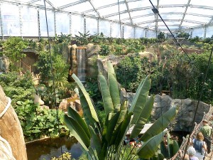 Wasserfall copyright by thk-design