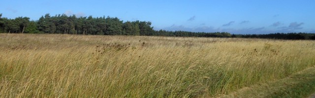 Sport und Reisen – Flaeming Skate