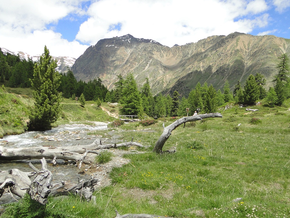 Blick von der Berglalm