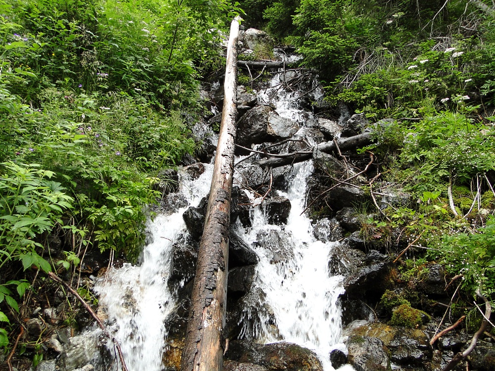 Ein Wildbach der diesen Namen (noch) verdient