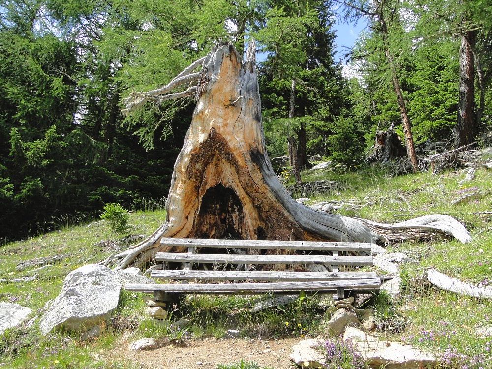 Idyllisches (Sitz)Plätzchen