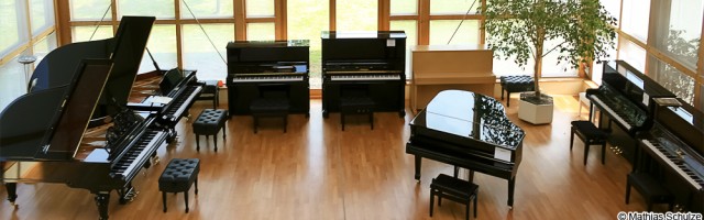 Handwerk im Fokus – Blüthner