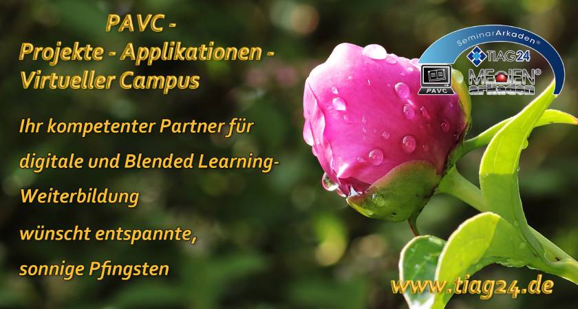 JaZeiKa_PAVC_Pfingsten_2025